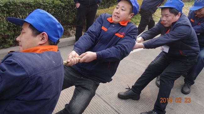 1551679628100931.jpg image009.jpg